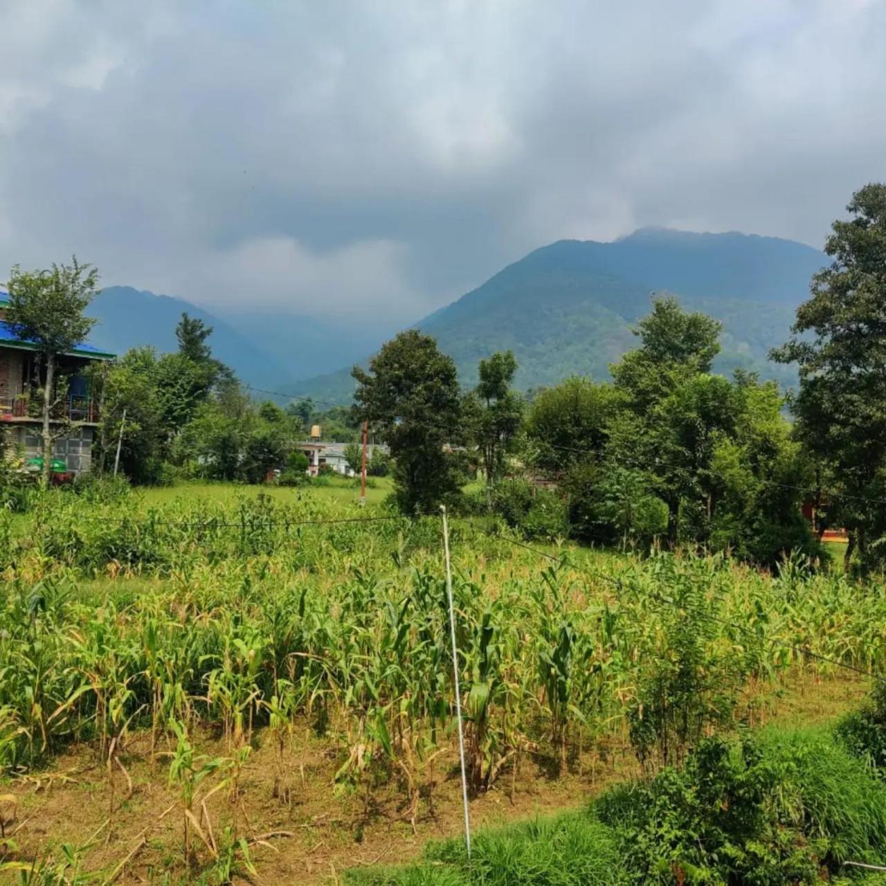 Aditya Homestay Bir-Billing Surrounded By Mountains Exteriér fotografie