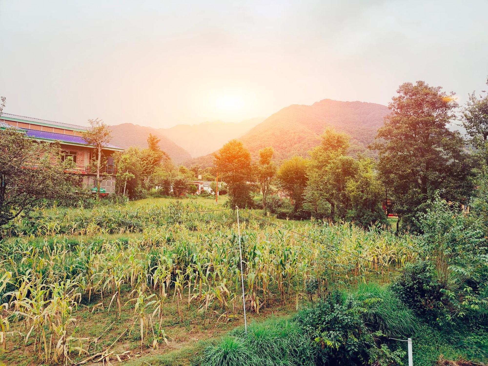 Aditya Homestay Bir-Billing Surrounded By Mountains Exteriér fotografie